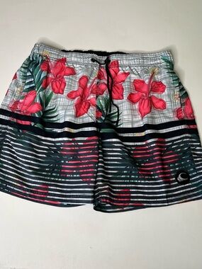 Wave Life Mens Floral Striped Multi Color Lined Swim Shorts Size 38